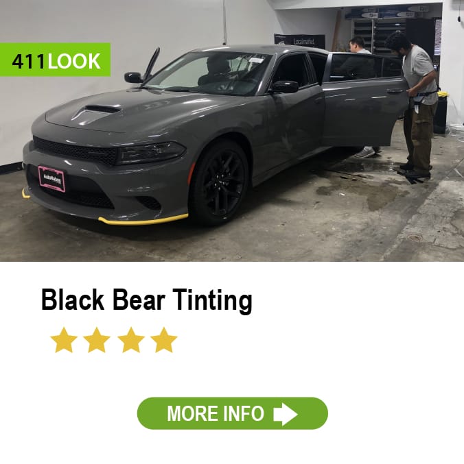 Black Bear Tinting