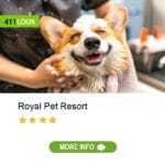 Royal Pet Resort
